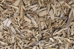 biomass boilers Gariob